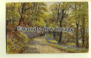 ar0305 - Bluebells at Holly Drive Clovelly *2368 Artist - A R Quinton - Postcard