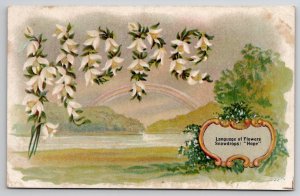 Language of Flowers Snowdrops Household Journal Springfield OH Ad Postcard L39