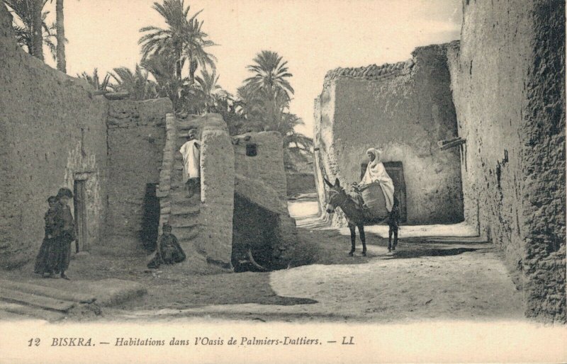 Algeria Biskra Habitations dans l'Oasis de Palmiers Dattiers 03.08