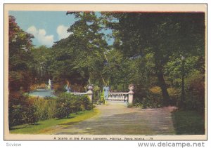 A Scene In The Public Gardens, HALIFAX, Nova Scotia, Canada, 1930-1940s