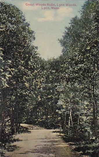 Massachusetts Lynn Creat Woods Road Lynn Woods 1911