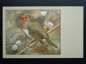 Bird Theme ROBIN c1950s Postcard by P. Sluis Series 8 No.93