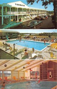 West Yarmouth Massachusetts Tidewater Motor Lodge Vintage Postcard K57846 
