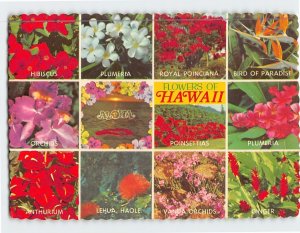 Postcard Flowers Of Hawaii USA