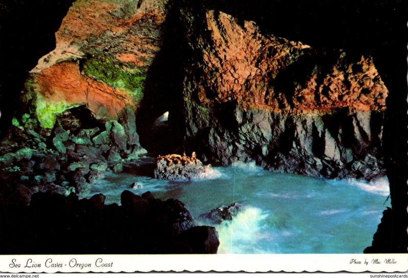 Oregon Coast Sea Lion Caves Interior