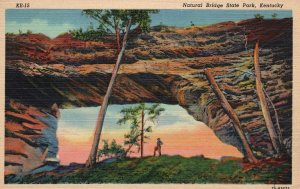 Natural Bridge Gigantic Rock Formation State Park Ken. KY Vintage Postcard 1951