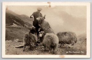 RPPC The Shepherds Pets Beautiful Wooly Sheep Of The Mountains Postcard A44