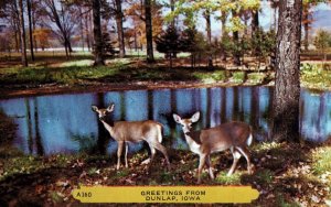 VINTAGE POSTCARD GREETINGS FROM DUNLAP IOWA DEER FAWN AND LAKE FOREST