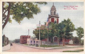 MI, Petoskey, Michigan, Court House & City Hall Building, VO Hammon Pub
