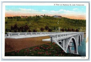 1940 View Highway 65 Lake Taneycomo Branson Missouri MO Vintage Antique Postcard 