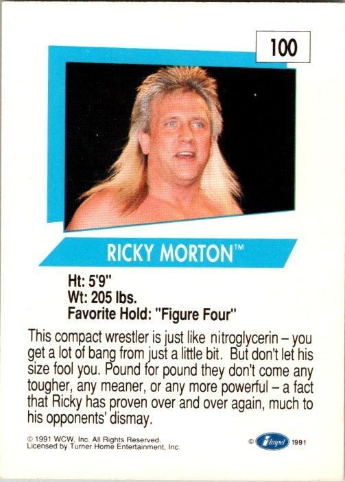 1991 WCW Wrestling Ricky Morton sk2117