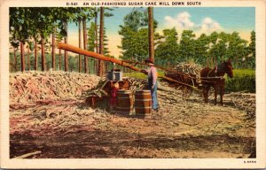 Linen Postcard Old-Fashioned Sugar Cane Mill Down South