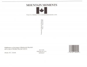 Wildflowers, Blackcomb, British Columbia, Mountain Moments