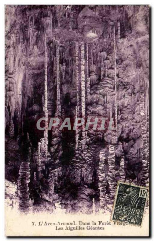 Old Postcard L & # 39Aven Armand In the Virgin Forest Giant Needles