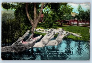 1910 Los Angeles California Postcard The Alligator Quartette Swanee River Farm