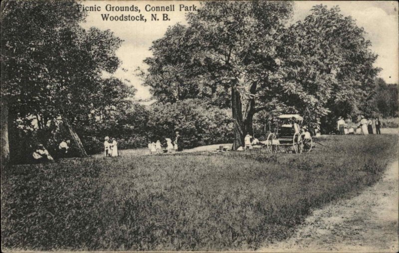 Woodstock New Brunswick Park Picnic Vintage Postcard