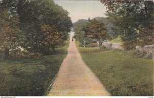 DYFFRYN , Wales , 1900-10s ; Avenue