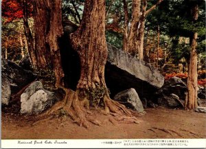 Japan National Park Lake Towada