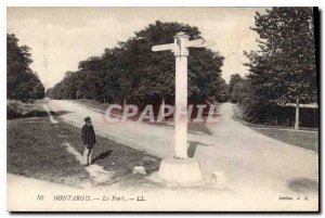 Old Postcard Montargis The Fort