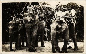 PC CPA SINGAPORE, ELEPHANTS, VINTAGE REAL PHOTO POSTCARD (b4379)
