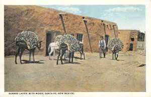 Burros Laden with Wood, Santa Fe, New Mexico c1920s Vintage Postcard