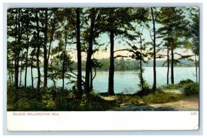 c1905 View Of Island Billington Sea Plymouth Massachusetts MA Antique Postcard