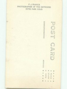 Old rppc NATURE SCENE Great Postcard AB0615