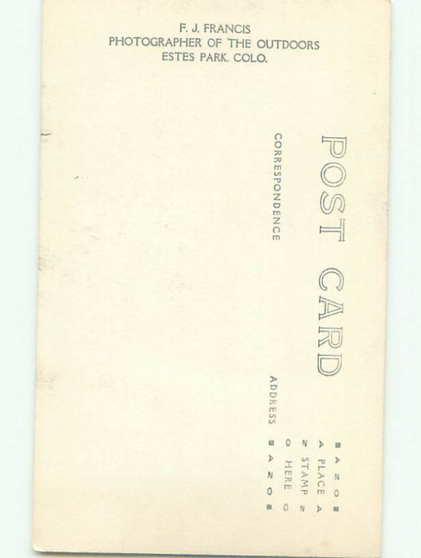 Old rppc NATURE SCENE Great Postcard AB0615