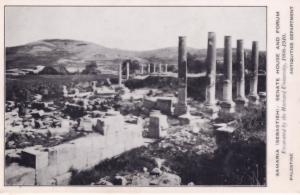 Samaria Palestine Senate House Antique Postcard