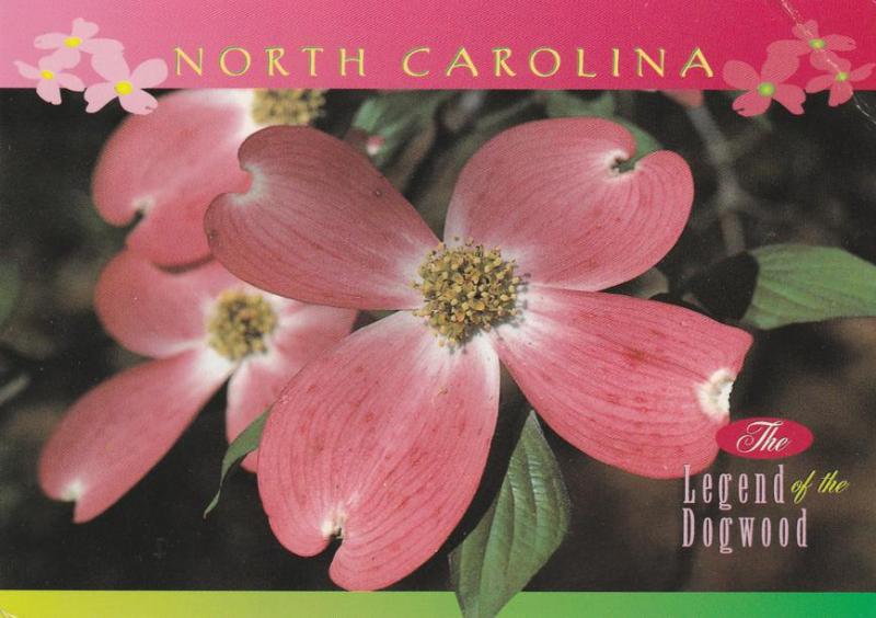 North Carolina - Legend of Dogwood - Flower - pm 1999
