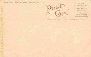 Piute Native American Indian Camp Nevada 1910c postcard