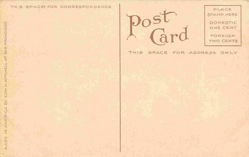 Piute Native American Indian Camp Nevada 1910c postcard