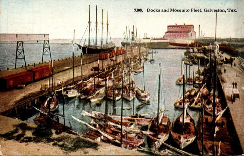 Texas Galveston Docks and Mosquito Fleet