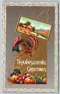 Thanksgiving Greetings  Turkey Pumpkin Postcard  1911