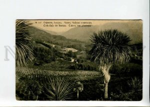 3171183 Adjara Georgia BATUMI Tea plantation CHAKVA Vintage PC