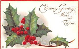 Christmas Postcard Old Vintage Antique Post Card
