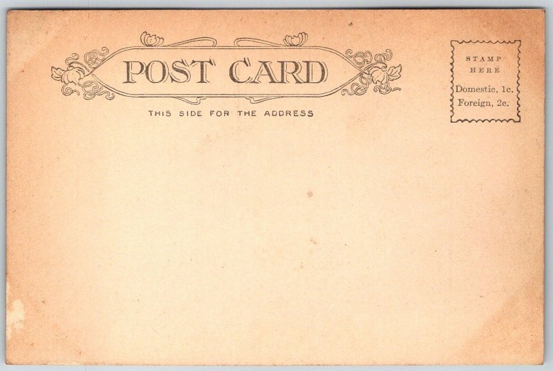 Newark Ohio c1905 Postcard Black Hand Rock