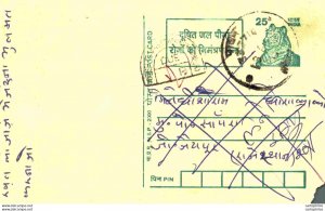 India Postal Stationery Tiger 25