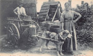 Belgium Laitieres Flamandes Flemish Milk Maid Seller Dog Peasant postcard B915