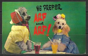 Humour - We Prefer Arf & Arf! - [MX-421]