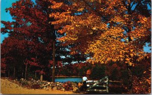 Greetings From Lebanon Pennsylvania Vintage Postcard C224