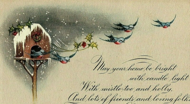 1907-15 Make Your Christmas Jolly Postcard Song Birds Snow House Winter