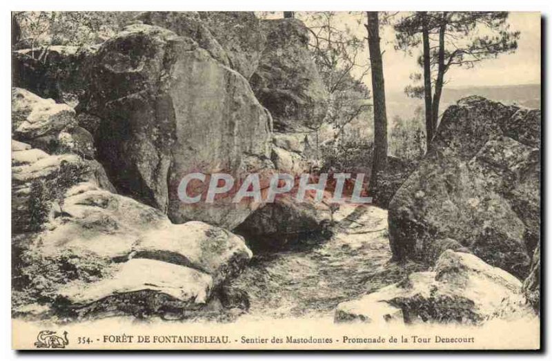 Postcard Old Forest of Fontainebleau Trail mastodons Tower Promenade Denecourt