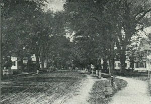 1905 Milford NH Elm Street Scene Postcard Undivided
