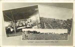 Postcard RPPC 1925 Farm Agriculture multi California Imperial Valley 23-11095