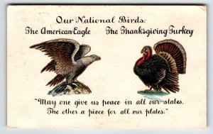 Our National Birds American Eagle Thanksgiving Turkey Postcard  1907 Undivided