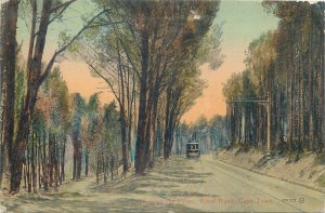 South Africa Cape Town Kloof Road tramway through the pines 1918 postcard