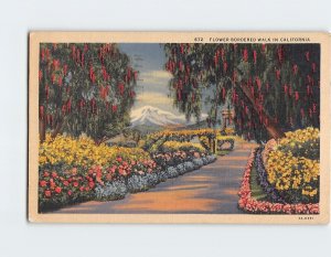 Postcard Flower Bordered Walk In California