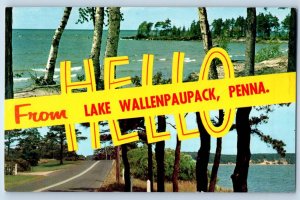 1960 Lake Wallenpaupack Pennsylvania Vintage Postcard Hello Big Letter Posted