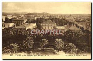 Old Postcard Residence Tunis has to Bird Flight